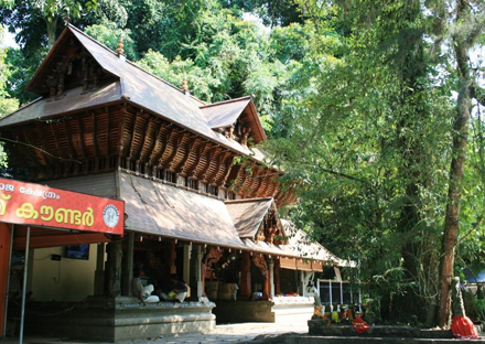 Kerala Honeymoons|Green Hope Tourism