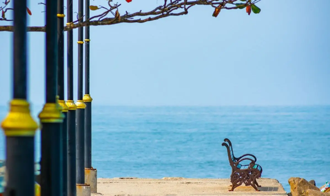 Kerala Honeymoons|Green Hope Tourism