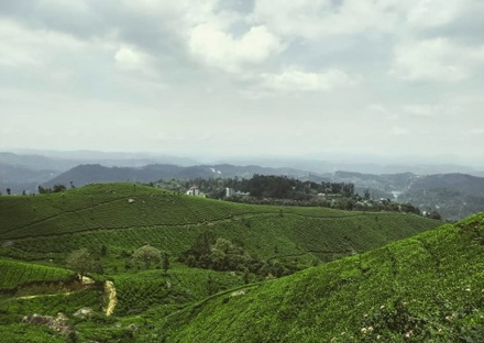 Kerala Honeymoons|Green Hope Tourism
