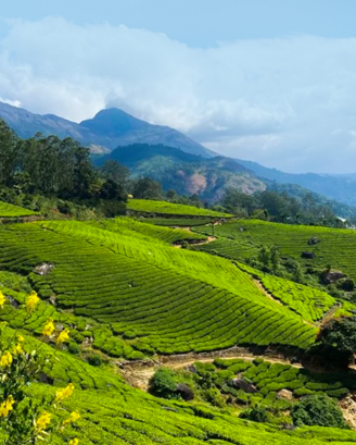 Kerala Honeymoons|Green Hope Tourism