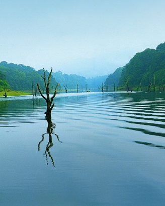 Kerala Honeymoons|Green Hope Tourism