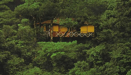 Kerala Honeymoons|Green Hope Tourism