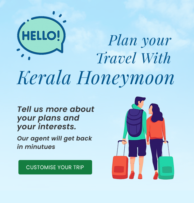 Kerala Honeymoons|Green Hope Tourism