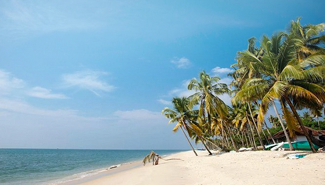 Kerala Honeymoons|Green Hope Tourism