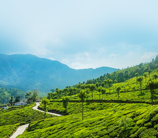 Kerala Honeymoons|Green Hope Tourism