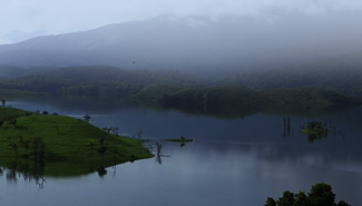 Kerala Honeymoons|Green Hope Tourism