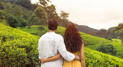 Kerala Honeymoons|Green Hope Tourism