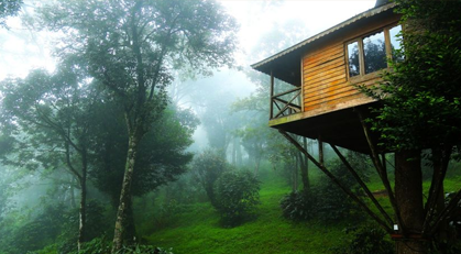 Kerala Honeymoons|Green Hope Tourism