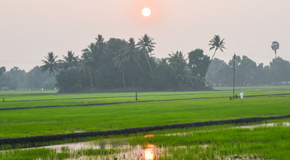 Kerala Honeymoons|Green Hope Tourism