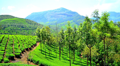 Kerala Honeymoons|Green Hope Tourism