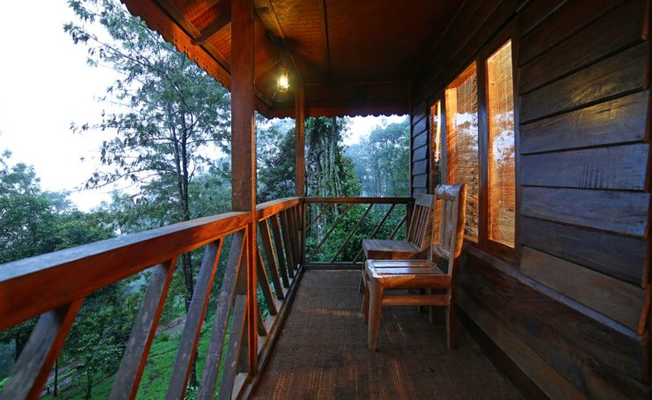 Kerala Honeymoons|Green Hope Tourism